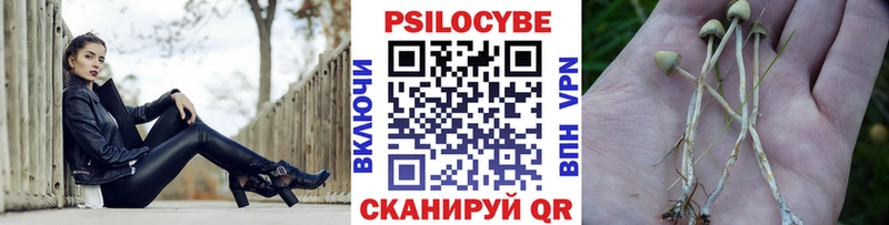 Псилоцибиновые грибы MAGIC MUSHROOMS  Дыгулыбгей 